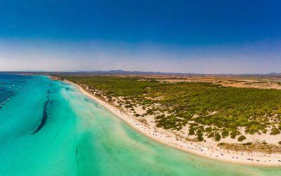 Es Trenc Mallorca: der umfassendste Führer zum unberührtesten Strand der Insel